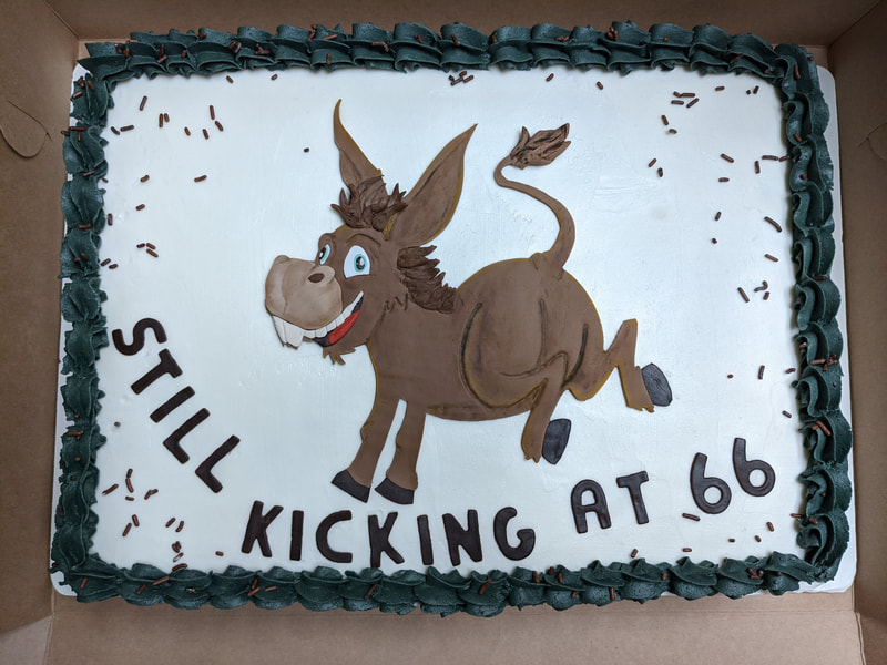 Still Kicking it at 66 Donkey Cake 