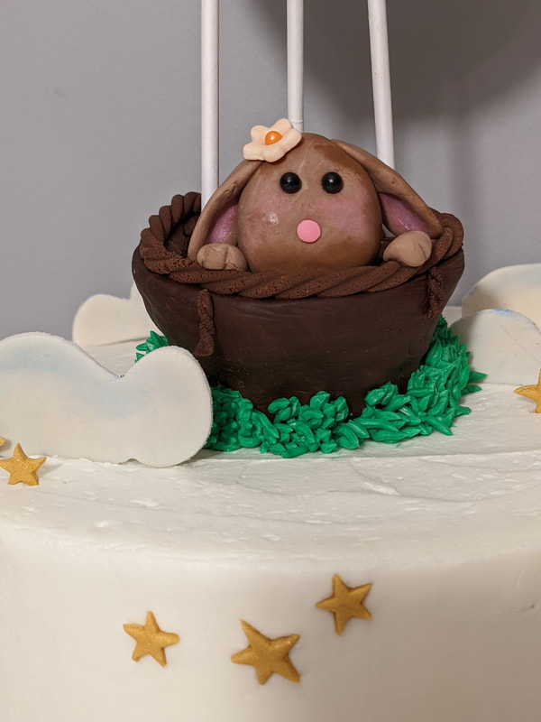 Oh' The Places She'll Go
Hot Air Balloon Baby Shower Cake
